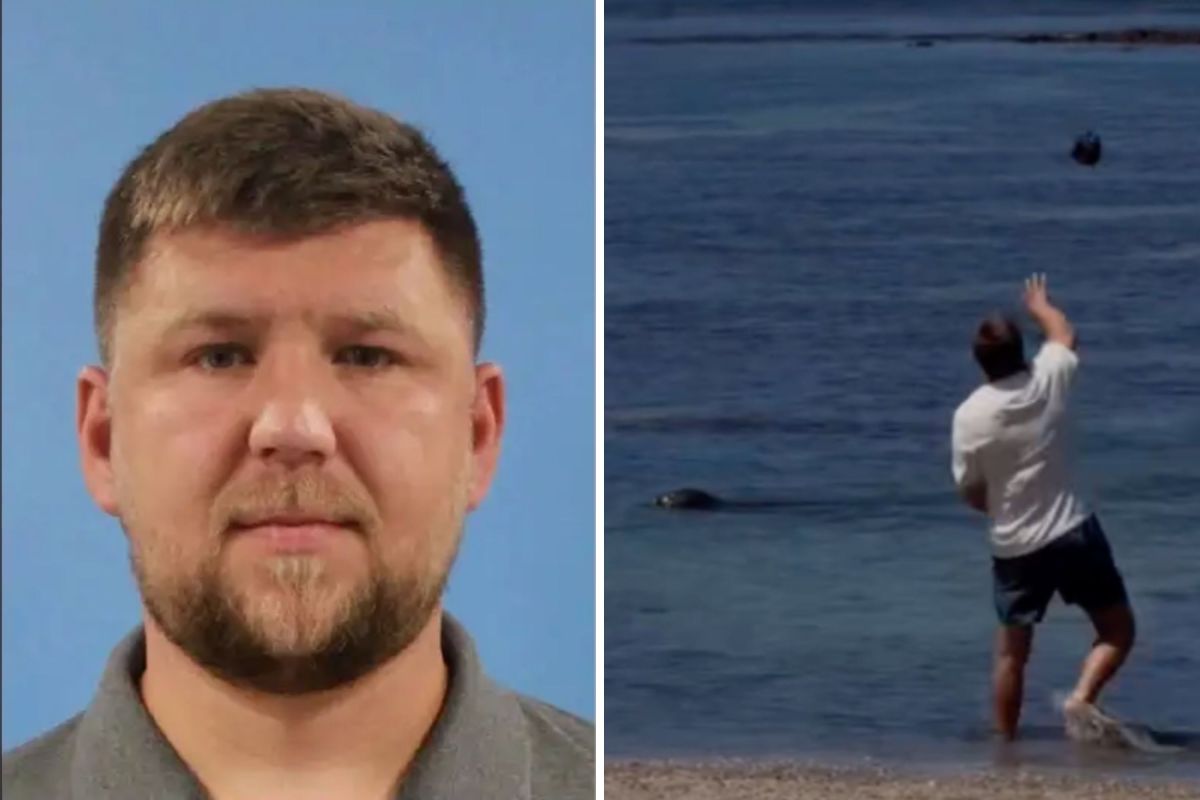 Judge Sets Timeline for Hawaii Tourist's Monk Seal Attack Ca
