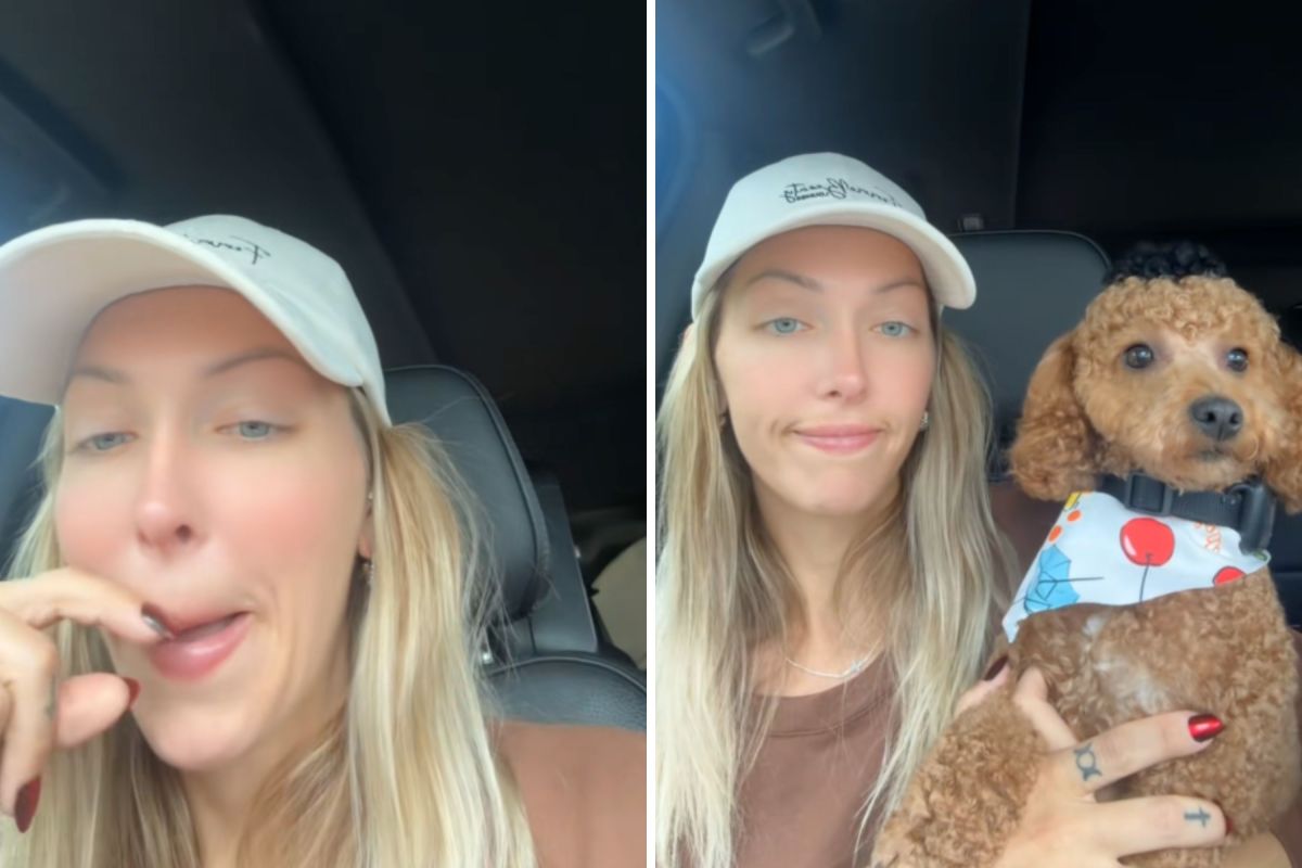 Owner Asks Groomer to Dye Dog—Sees Result and Realizes It Went Very ‘Wrong’