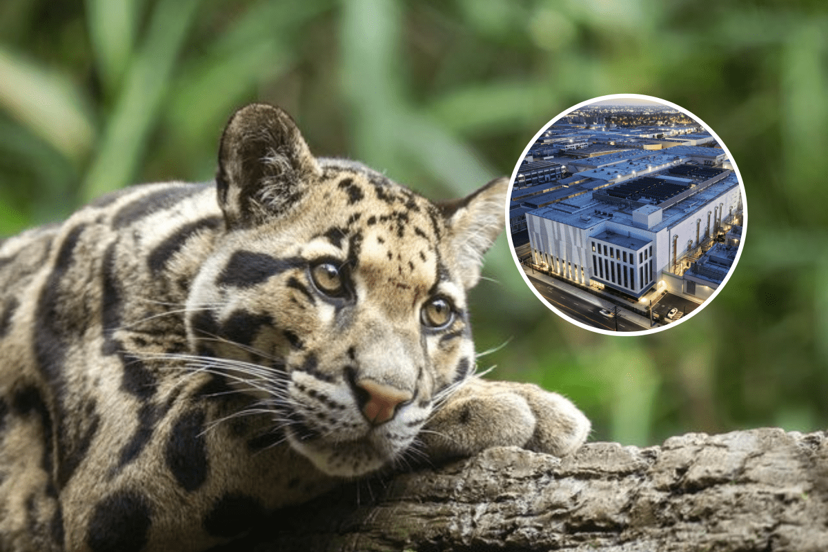 Thousands Back Zoo's Petition to Block AI Data Center—'Irreversible Damage'