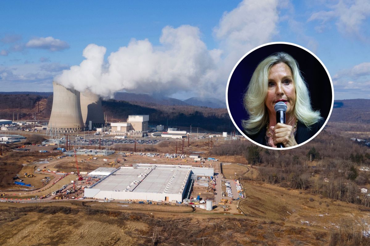 Erin Brockovich Crowdsources 6,600+ AI Data Center Reports Amid Environmental Concerns