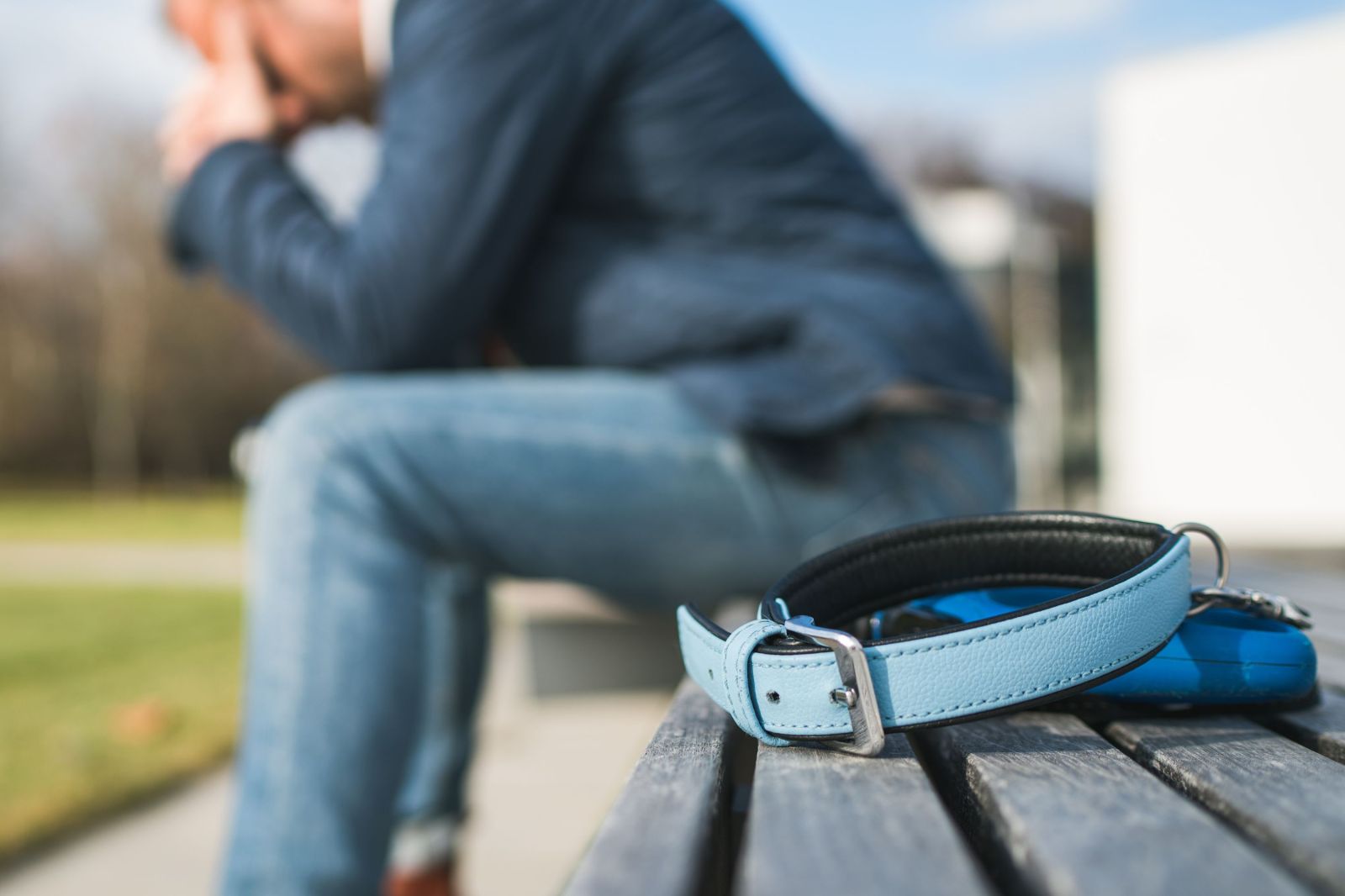 newsweek.com - Liz O'Connell - Pet loss is a deeply human grief-now owners turn to technology to cope