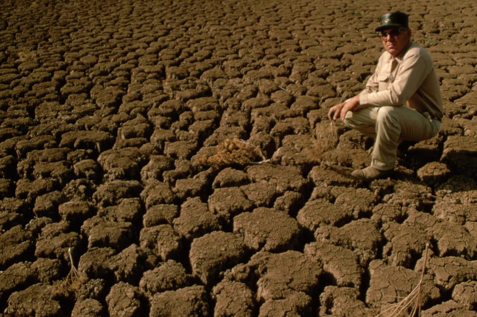 Stock image: a farmer surveys the parched soil on his southern Texas farm.