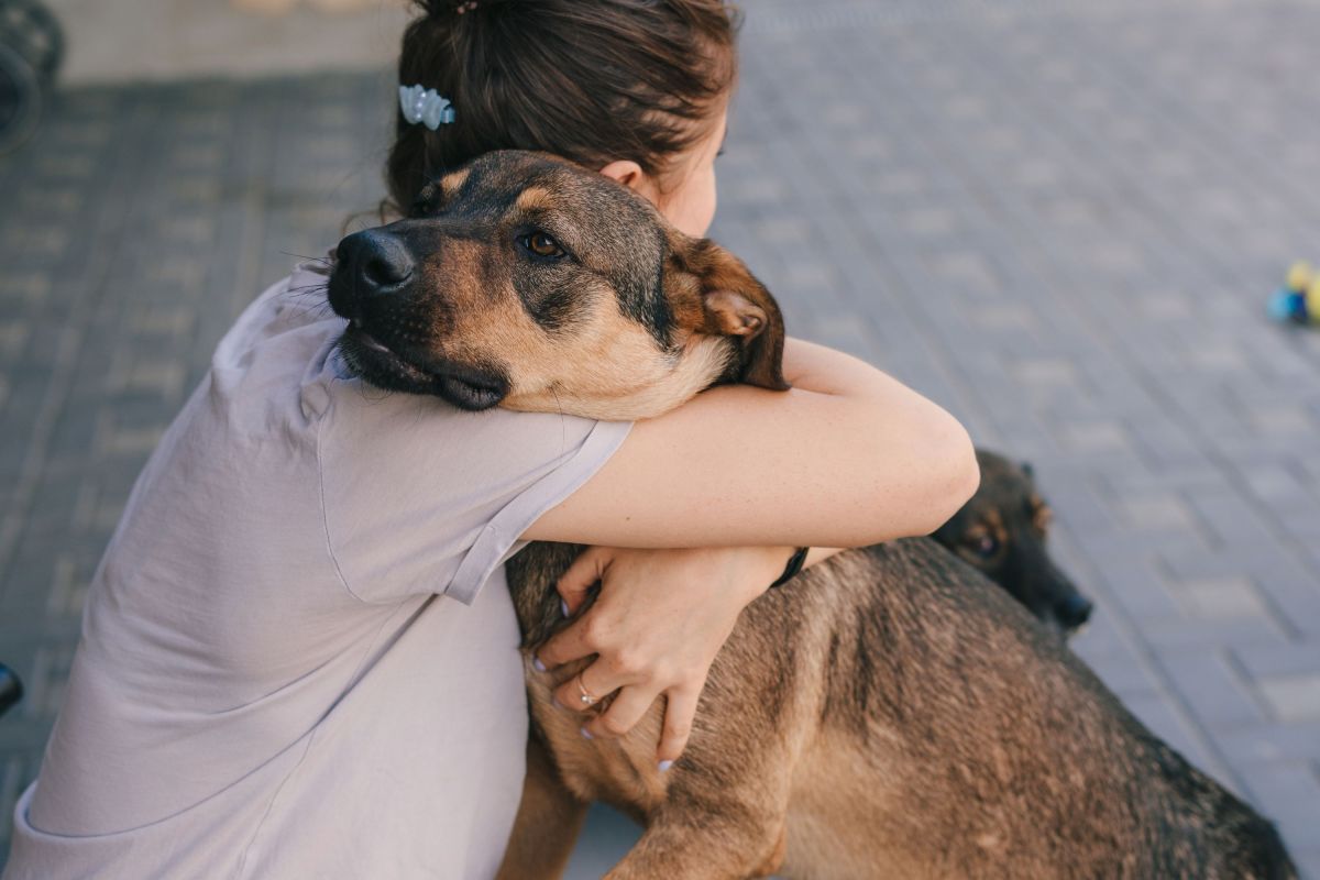 Why Hugging Your Dog May Be Doing More Harm Than Good, Expert Explains