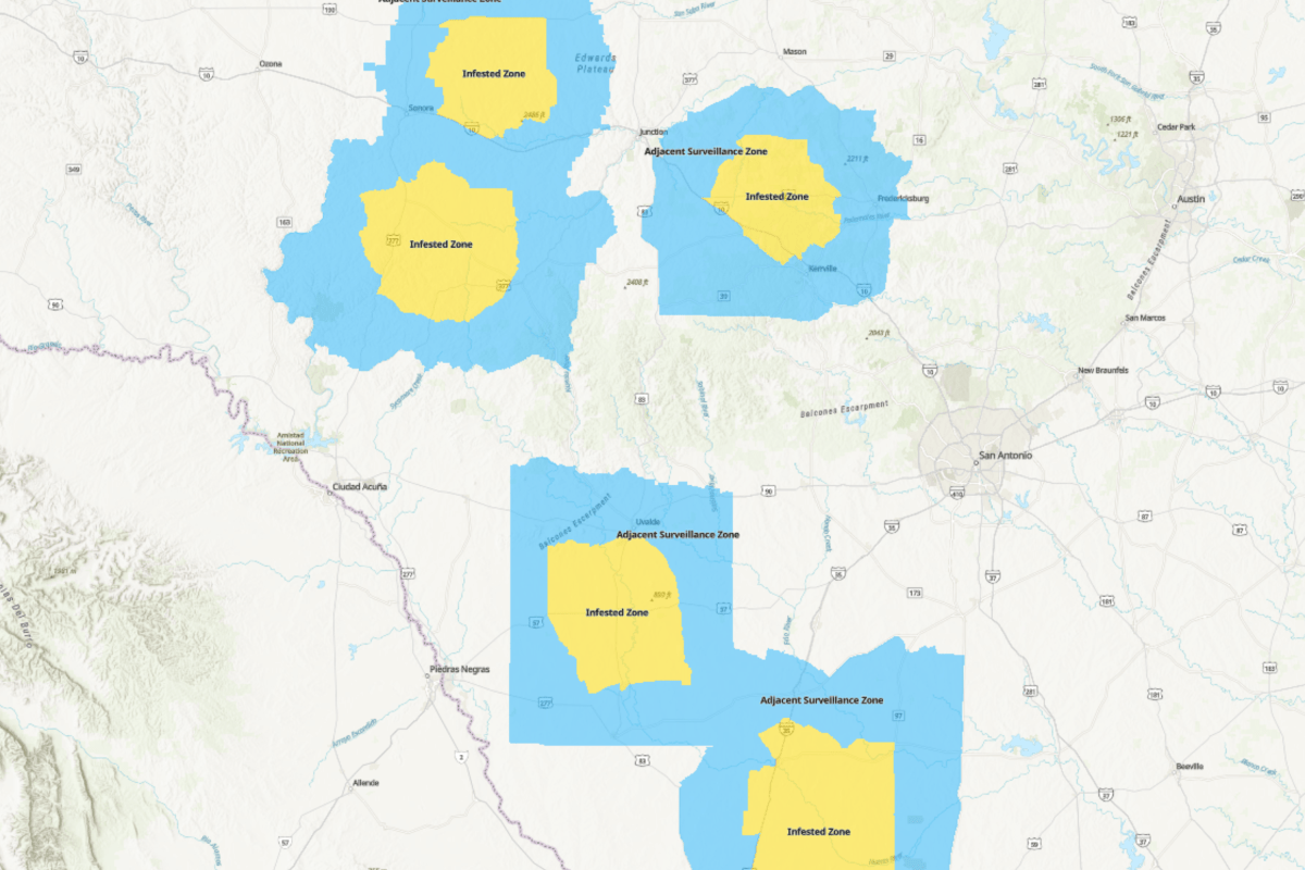 Screwworm Map Shows 'Infested Zones' in Texas as 12th Case Reported