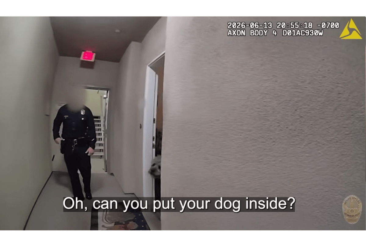 Video Analysis of LAPD Shooting Knicks Fan's Dog, Jameson