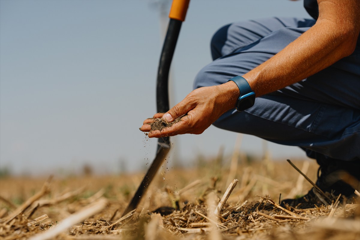 Field To Future: How Biotech and Business Models Can Change the Food System&nbsp;