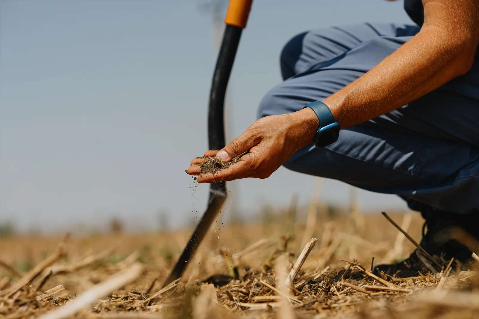 Field To Future: How Biotech and Business Models Can Change the Food System 