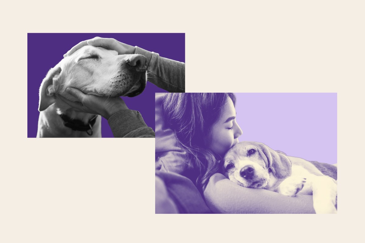 Millennials and Gen Z are ‘Gentle Parenting’ Their Dogs—It’s a Problem