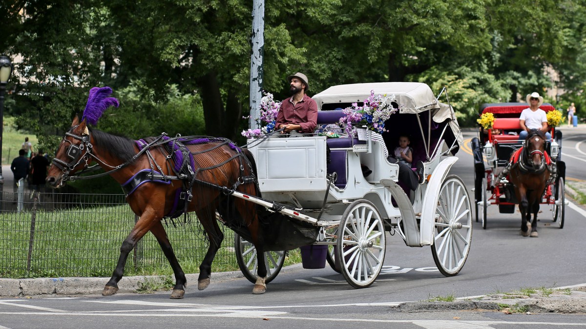 A New York City Tourist Staple Could Be Going Away After 160 Years