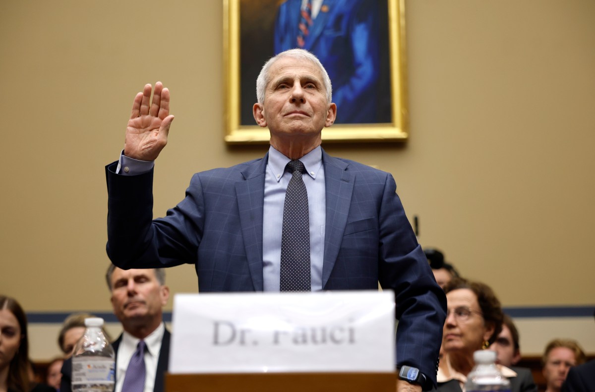 Tulsi Gabbard Drops Documents She Says Relate to COVID, Fauci—View in Full