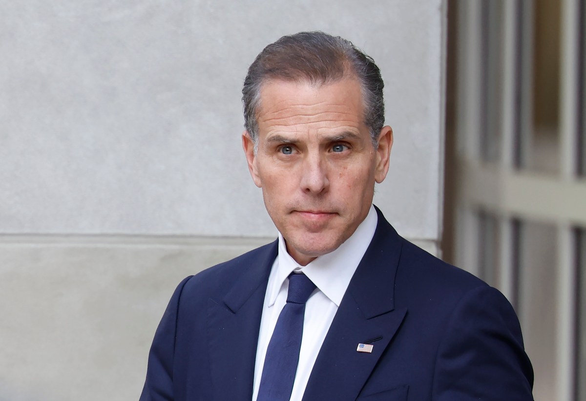 Hunter Biden questions establishment Democrats, praises Mamdani