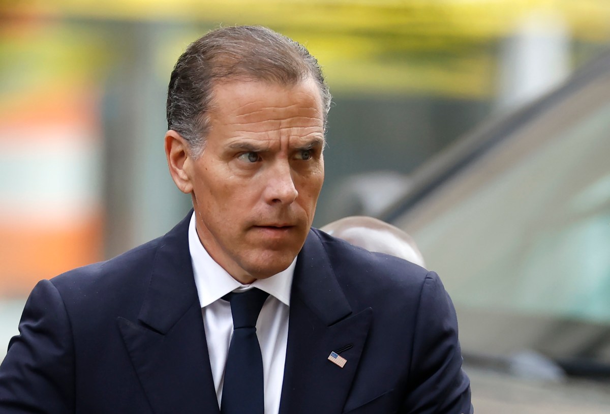 Hunter Biden Jokes About Being Gavin Newsom's 2028