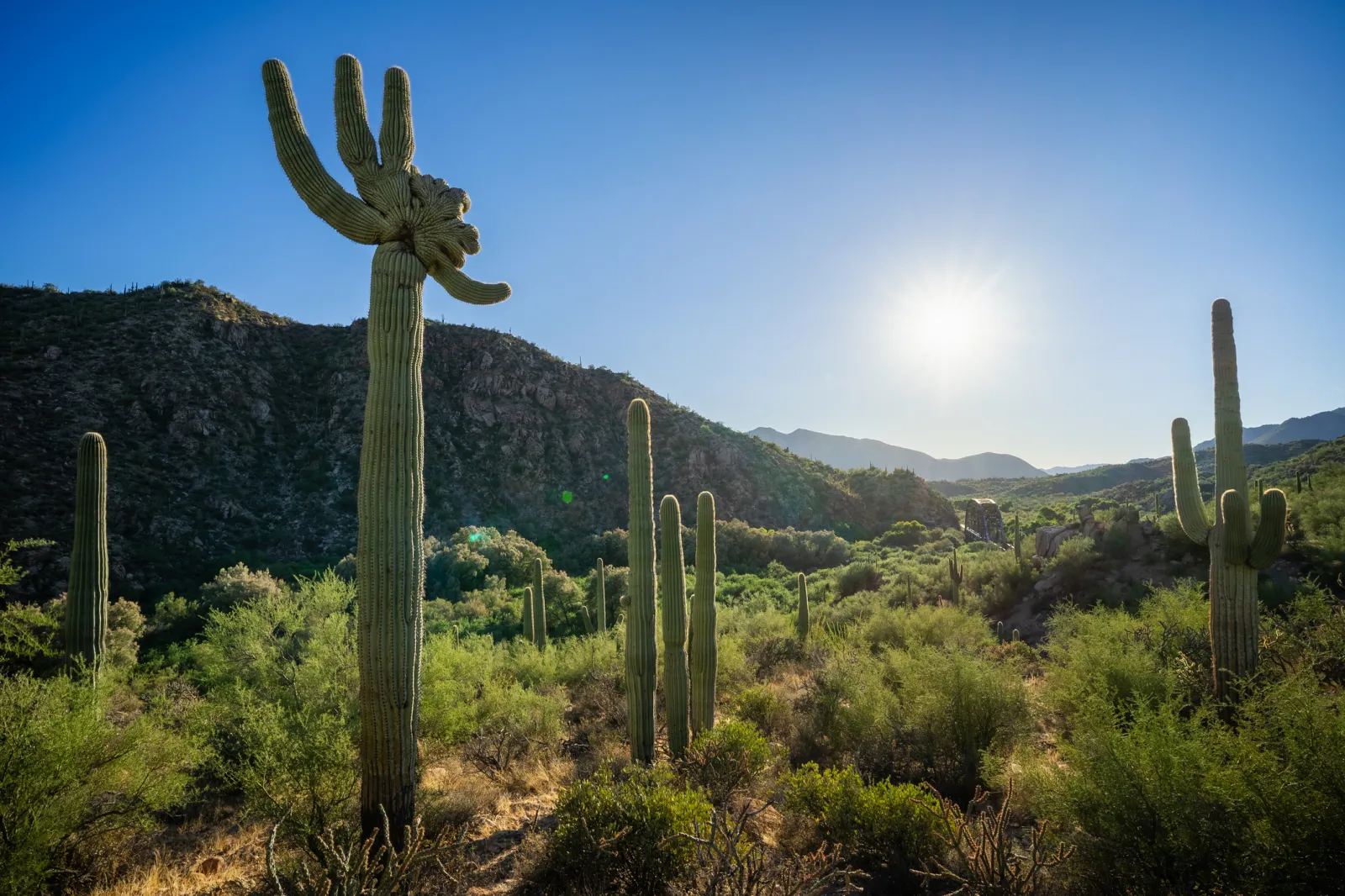 A sunset view above the Gila River near Kelvin, Arizona.