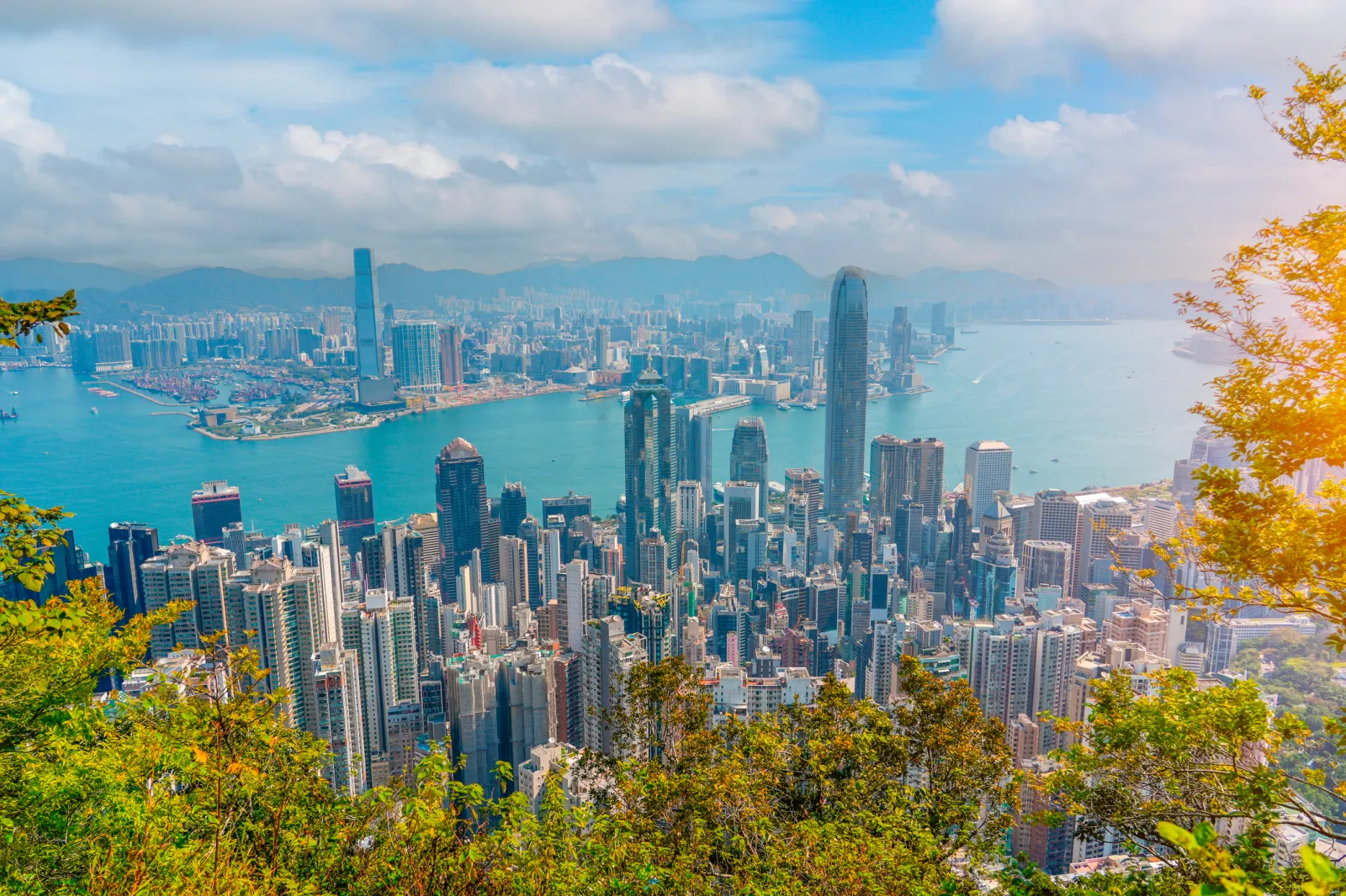 A panoramic view of the Hong Kong skyline from the top of a forest.
