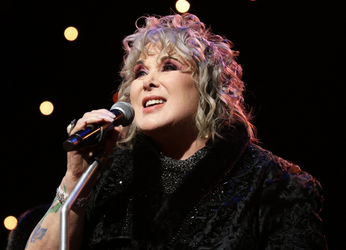 Ann Wilson Shares a Story of & 039;Unwavering Self-Determination& 039; on New Song