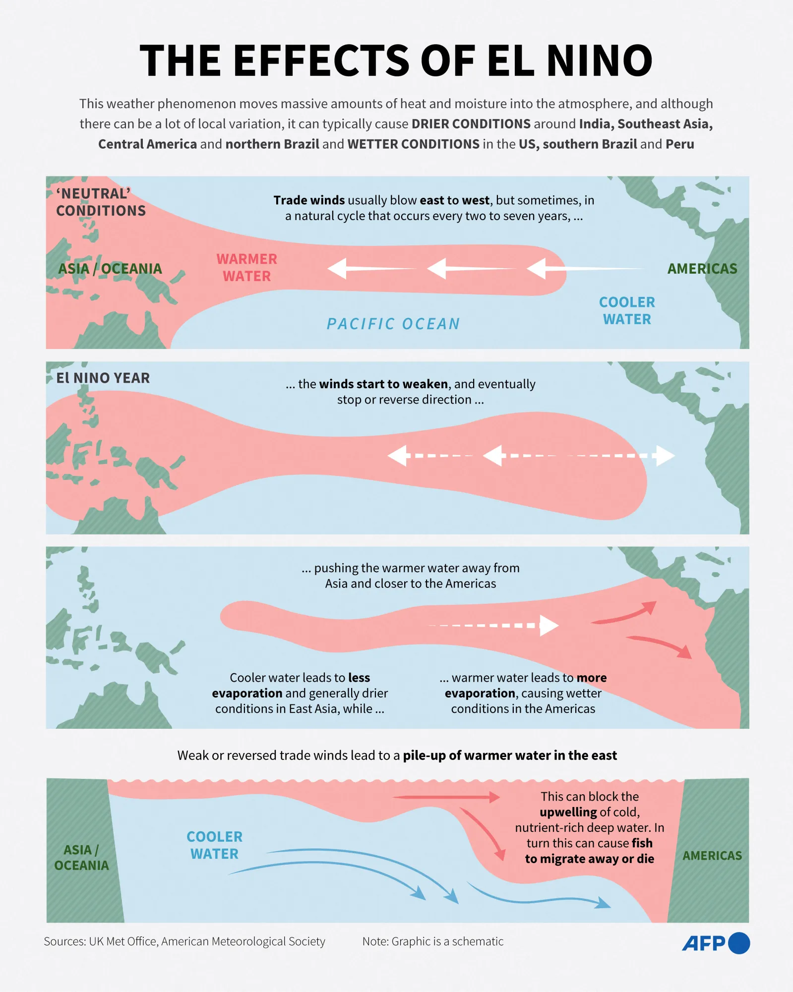 Infographic explainer on the El Nino weather phenomenon.