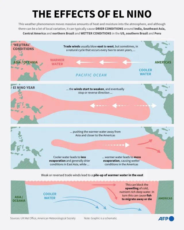 Infographic explainer on the El Nino weather phenomenon.