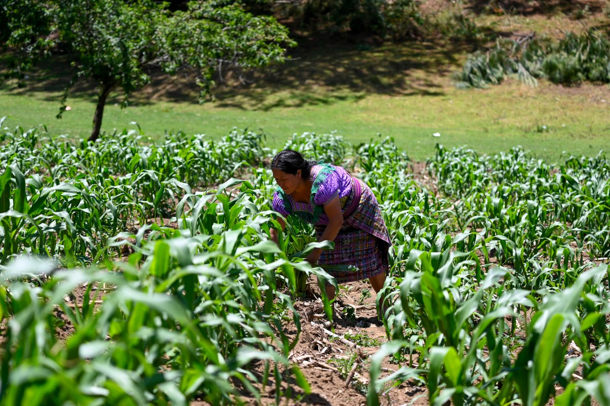 How El Niño Might Affect Your Everyday Spending
