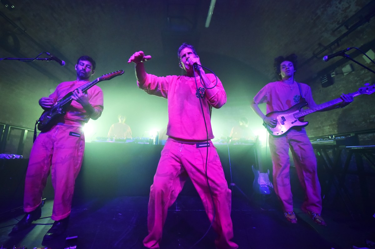 Beastie Boys' Mike D Announces Debut Album, and His Sons Are