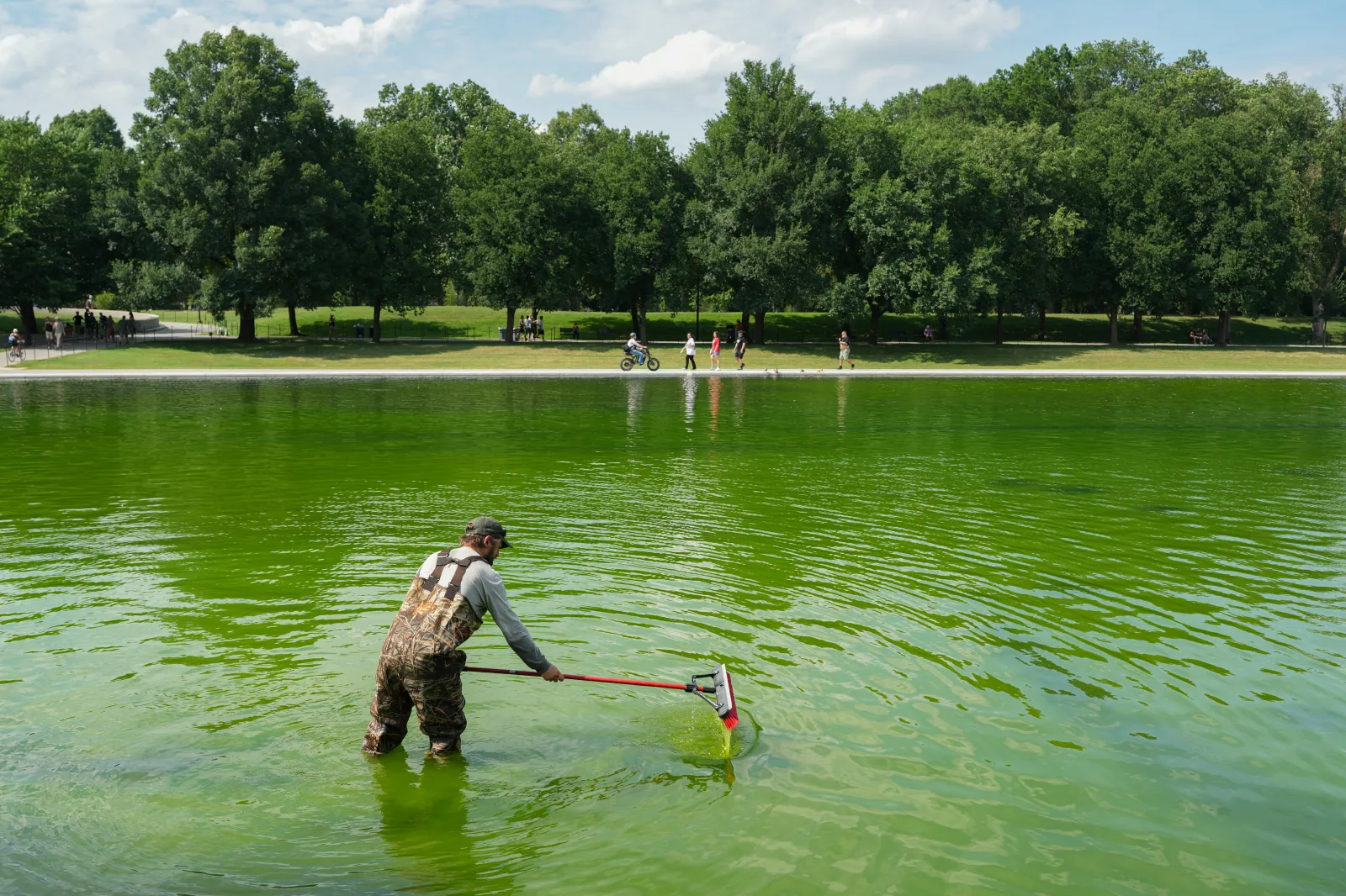 National Park Service workers push algae towards an aeration area in the center of the Lincoln Memorial Reflecting Pool on June 14, 2026.