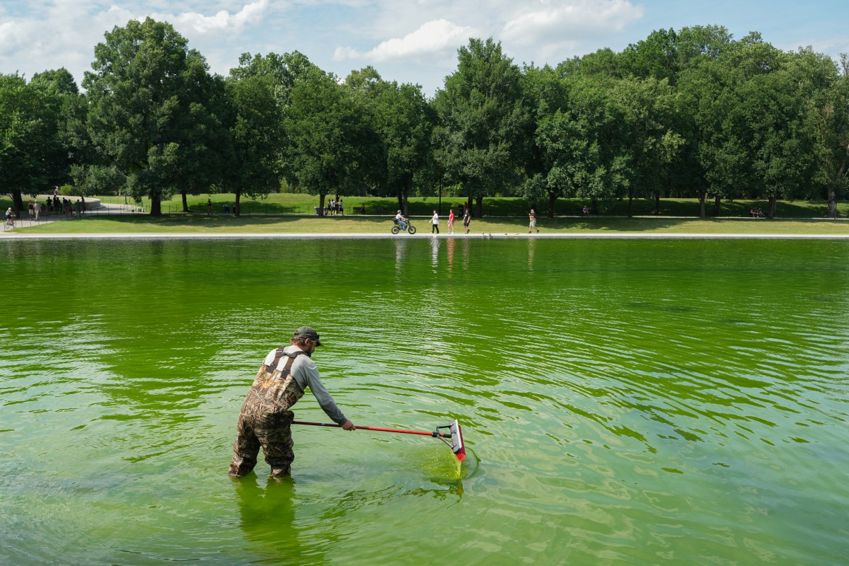 How Safe is Hydrogen Peroxide? Workers Add Chemical to Green Reflecting Pool