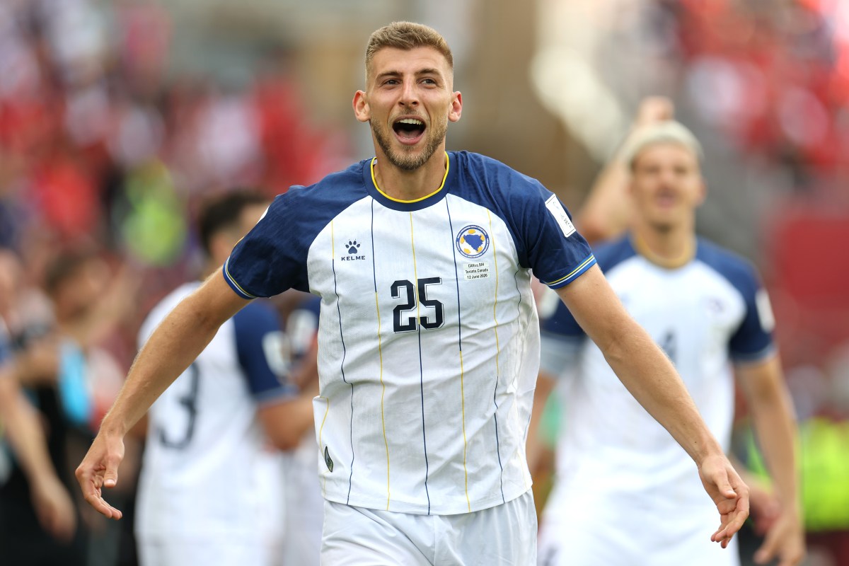 Bosnia-Herzegovina's World Cup Group Stage Report Card: Final Grades