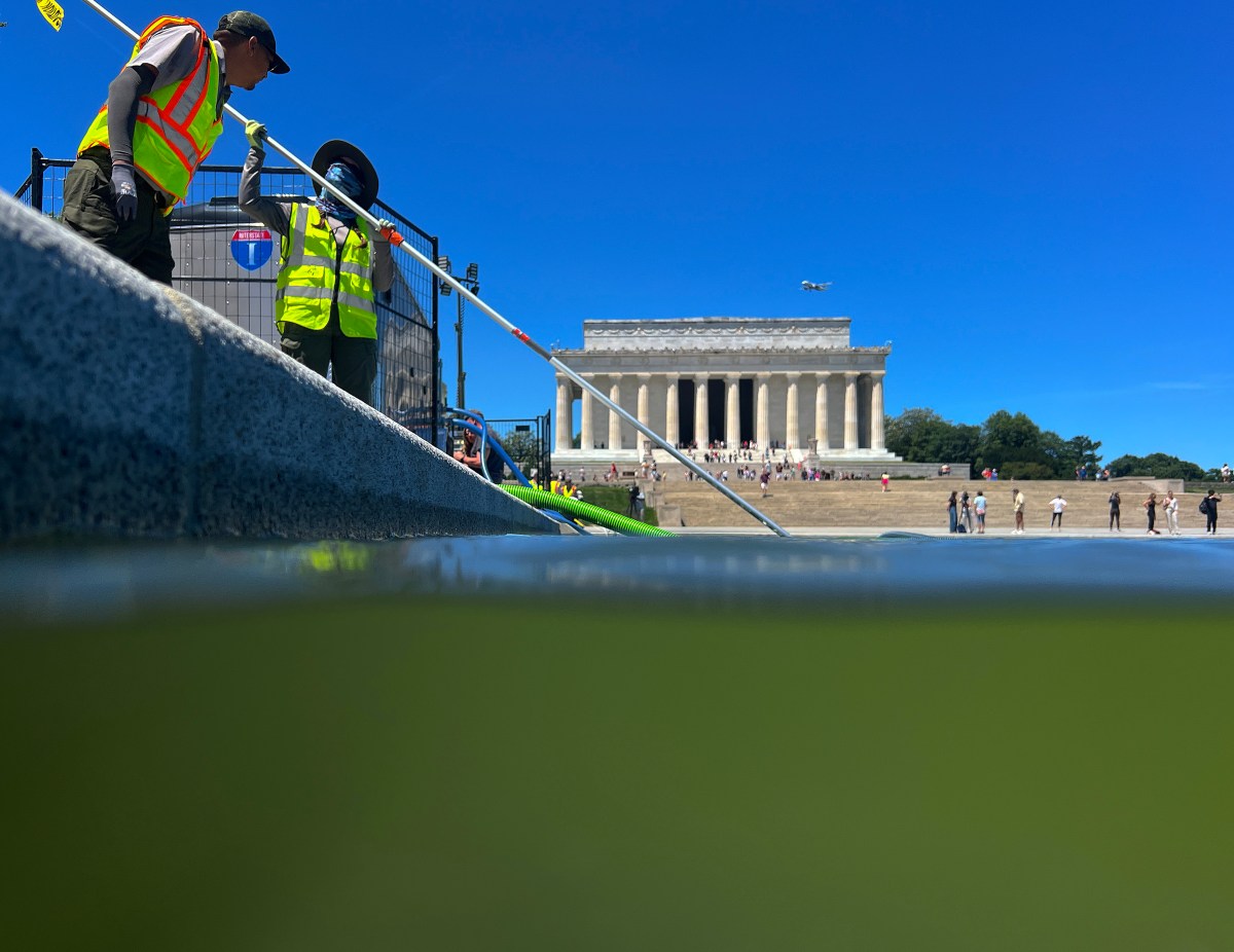 Who Is John Cafaro? Trump Donor Scrutinized Amid Reflecting Pool Debacle