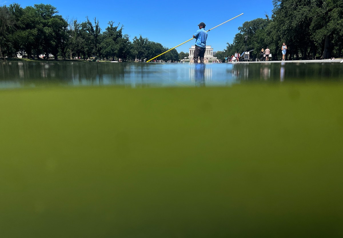 Mary Trump Needles Uncle With Reflecting Pool Jab After Settlement