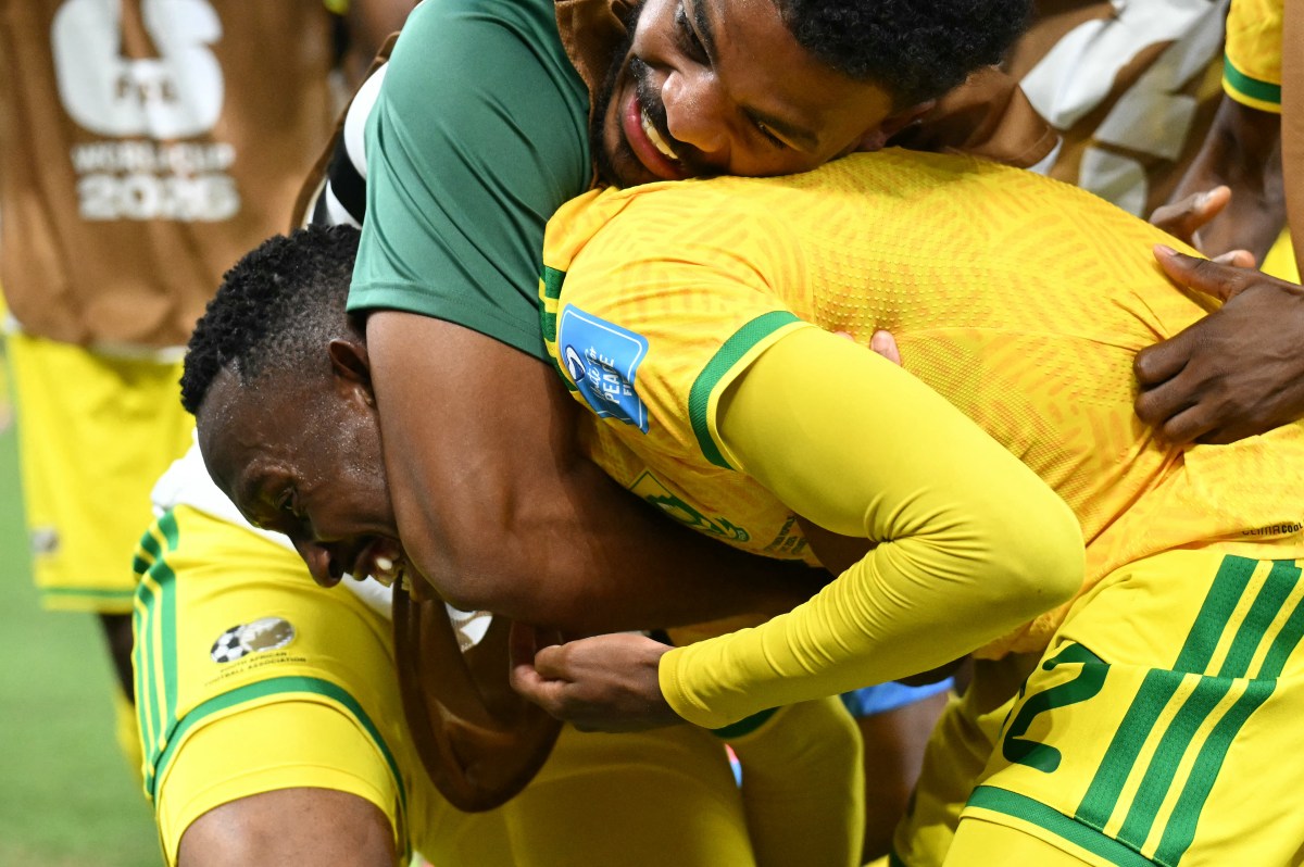South Africa's World Cup Group Stage Report Card: A Comeback for the Ages