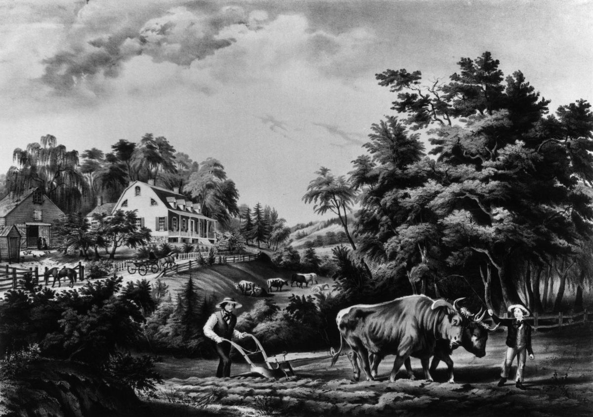 Animals Are Woven Into the Fabric of Our American Story | Opinion