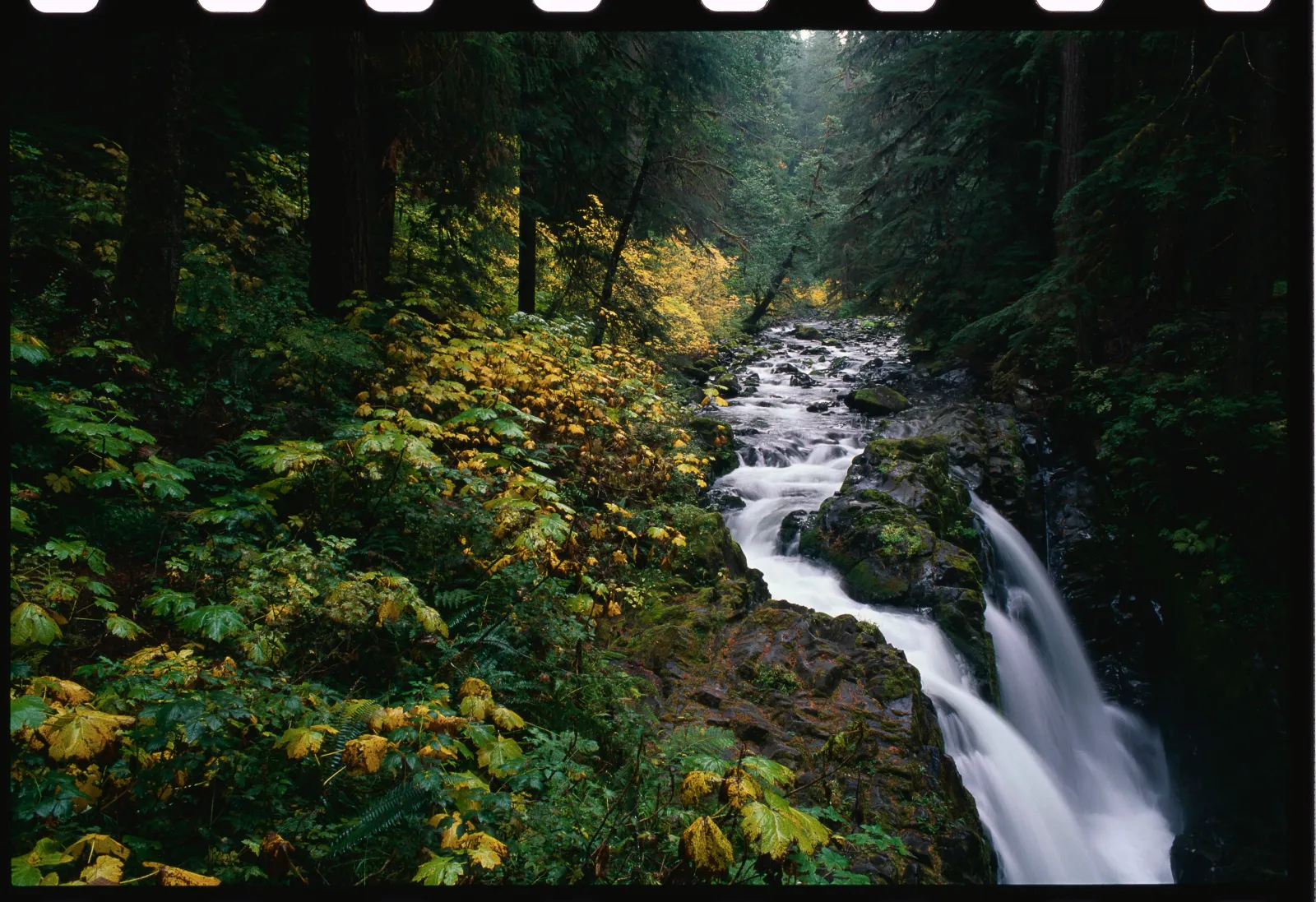 Sol Duc Falls is seen in Olympic National Park in Washington State.