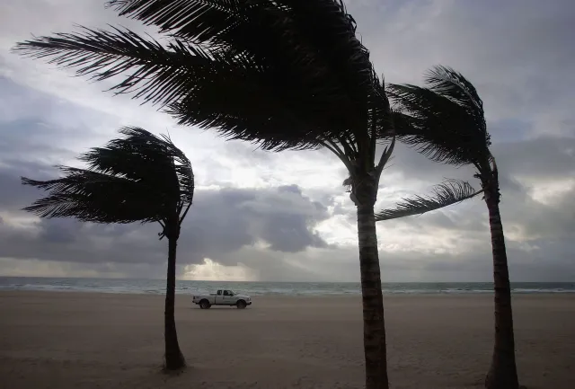 Winds blow through the palm trees as the remains of Tropical Storm Ernesto pass through August 30, 2006 in Miami Beach, Florida. So far the storm has passed with little damage to the area. (Photo by Joe Raedle/Getty Images)