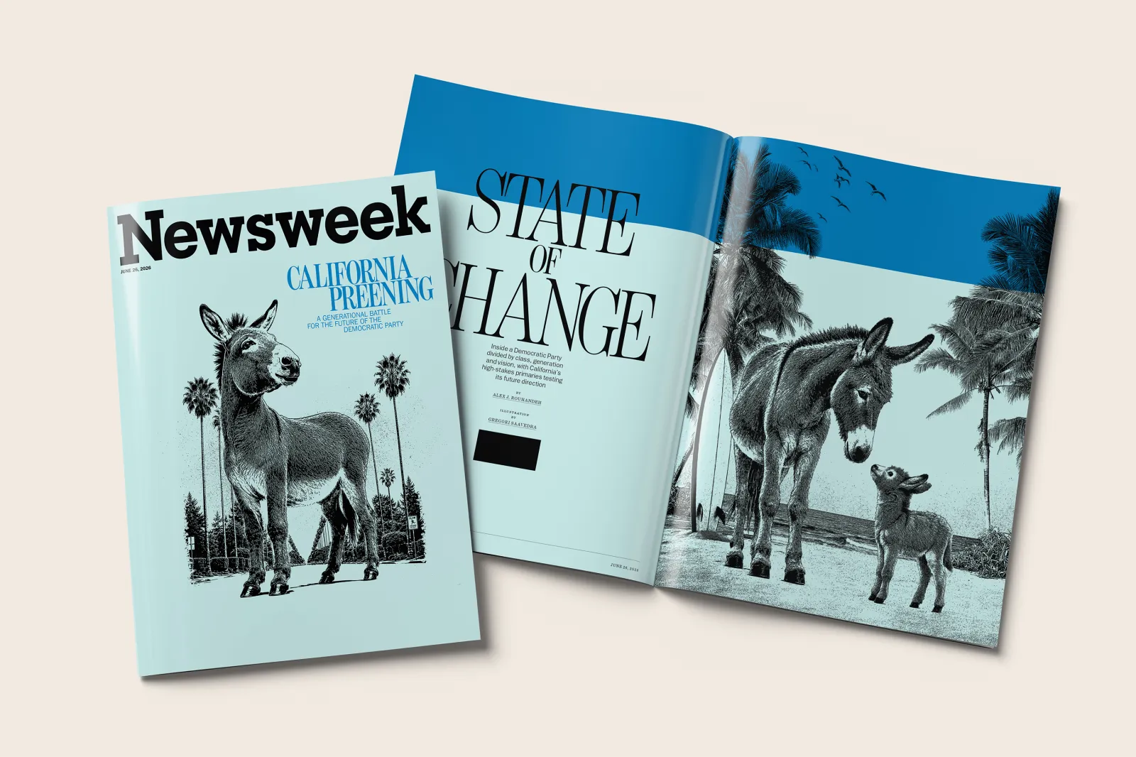 Image for article: How California’s Primaries Test the Direction of a Divided Democratic Party