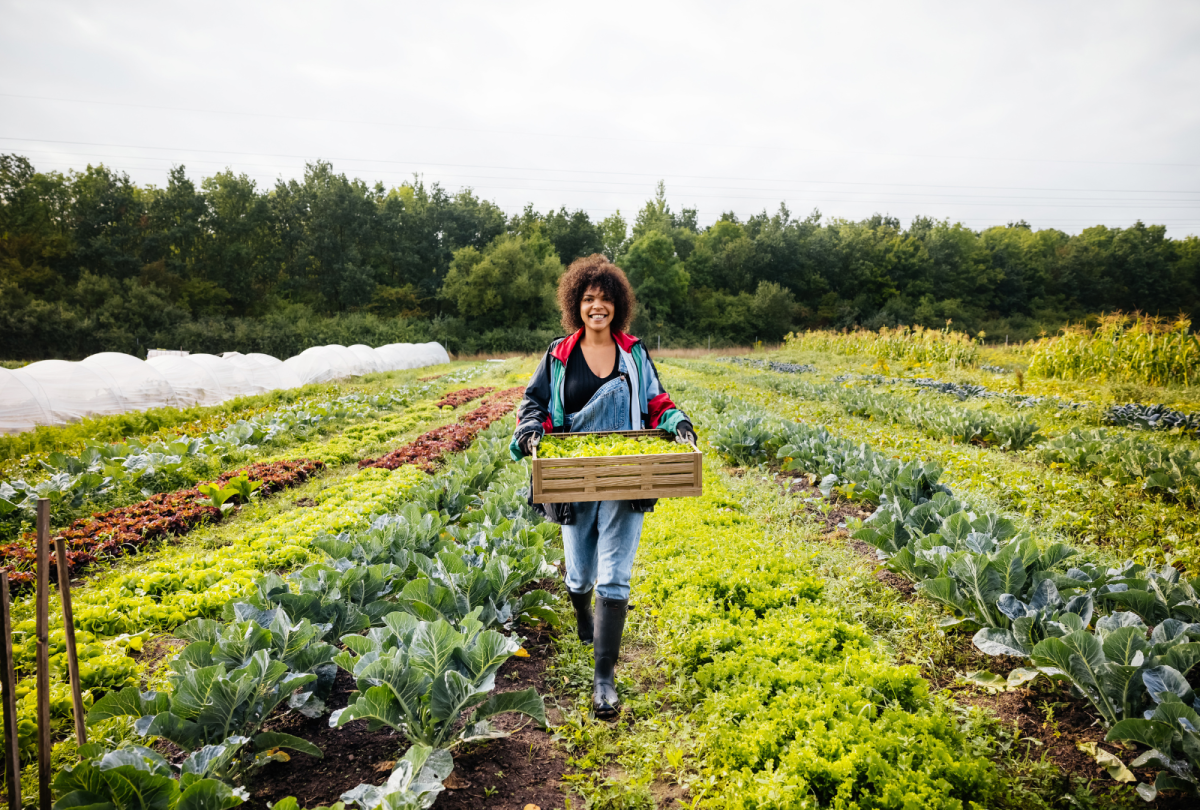 The Fight for Audit-Ready Sustainability Claims Continues