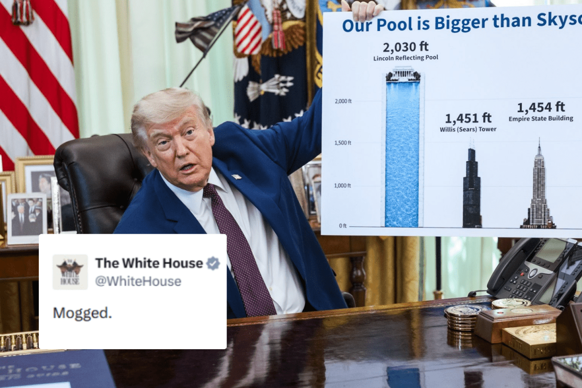 White House Posts Trump 'Mogging' Picture: What it Means