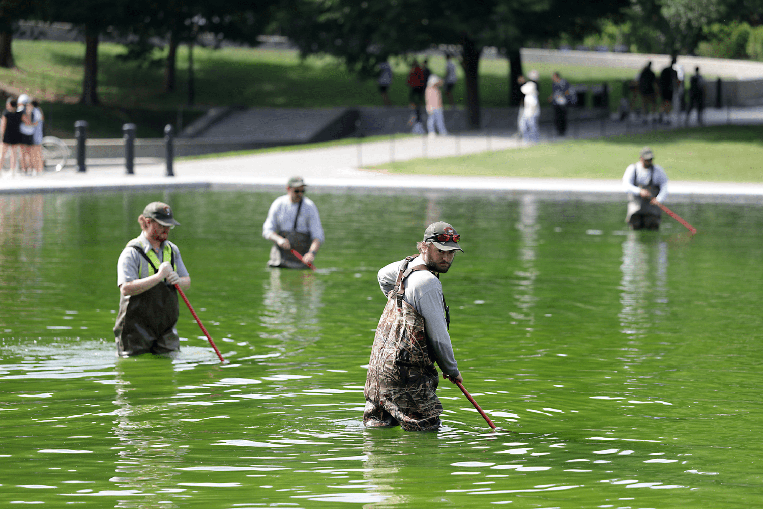Lincoln Memorial Reflecting Pool Turns Green Days After Refill