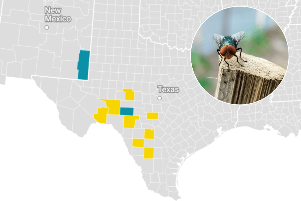 Map shows growing US screwworm outbreak as cases hit 20