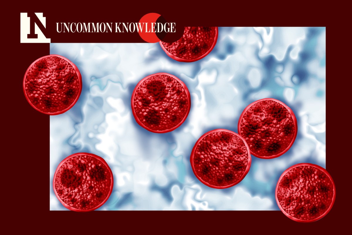 Big Tech Has a Bad Case of Cyclospora