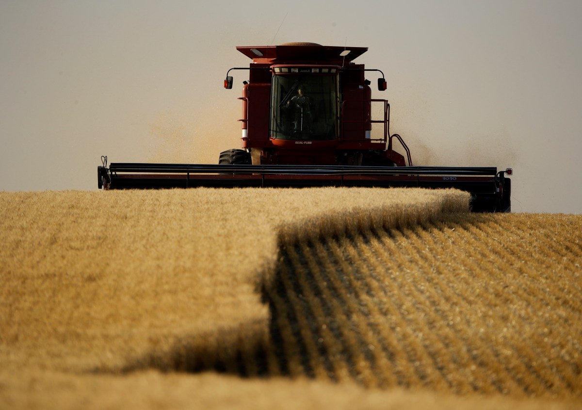 America’s Wheat Harvest Set to Fall to Lowest Level in 150 Years