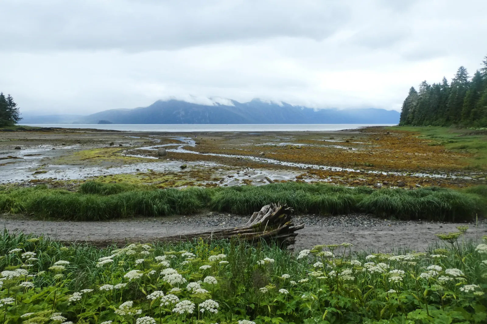 A person in the distance explores the low tide at Sandy Beach Park in Petersburg, Alaska, on July 5. (AP Photo/Becky Bohrer)