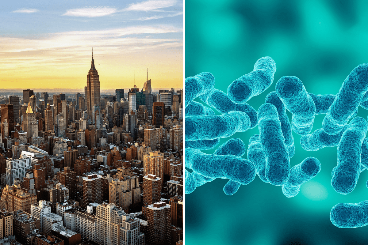 Can You Catch Legionnaires' Disease at Home? Doctors Explain the Risks