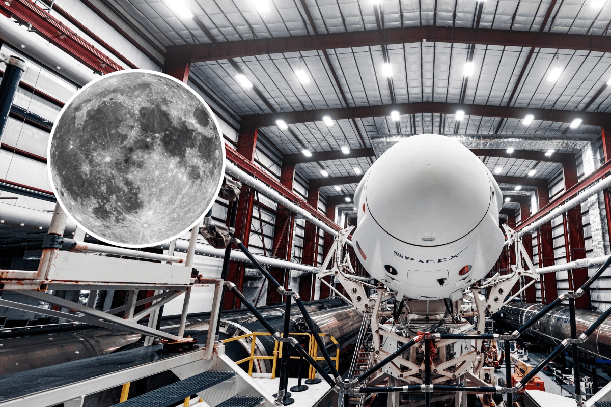 Elon Musk SpaceX Rocket Is Set To Crash Into the Moon—What You Need To Know