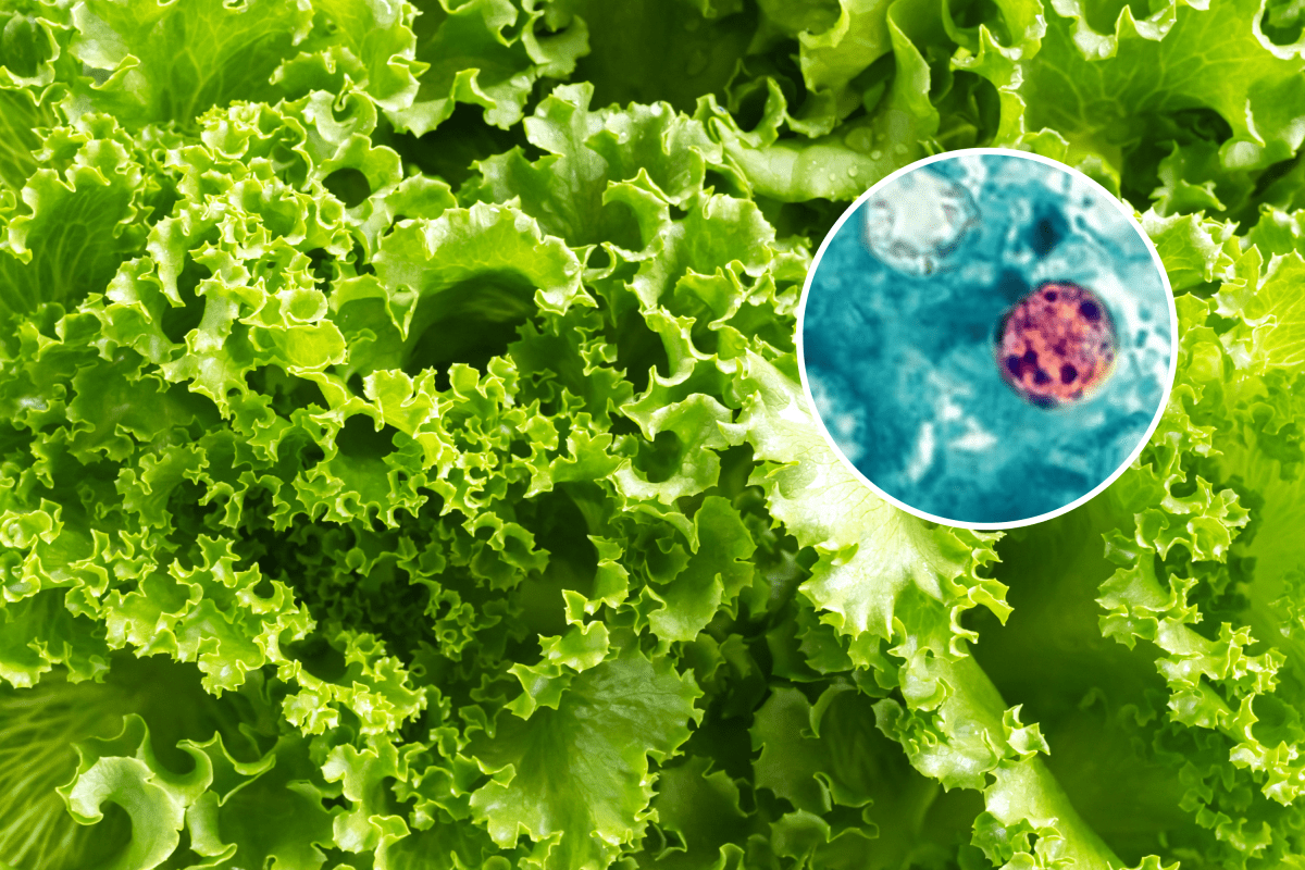 Do You Have Cyclospora? How to Diagnose—And Whether It Goes Away By Itself