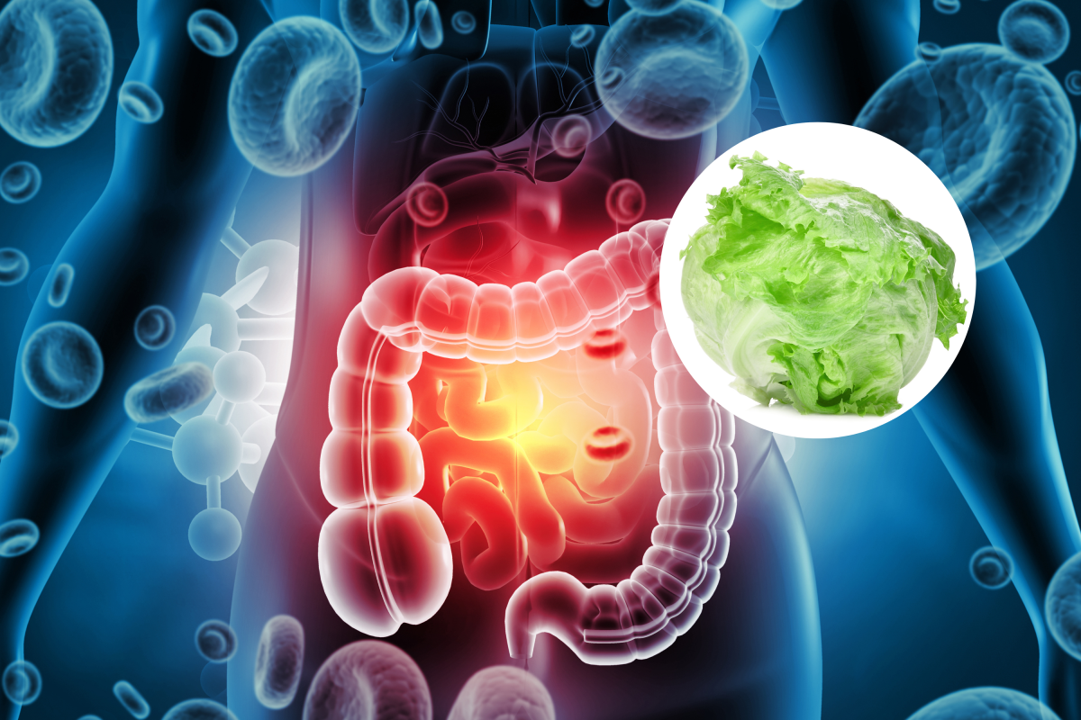 Which Lettuce To Buy, Avoid as FDA Investigates New Cyclospora Outbreak
