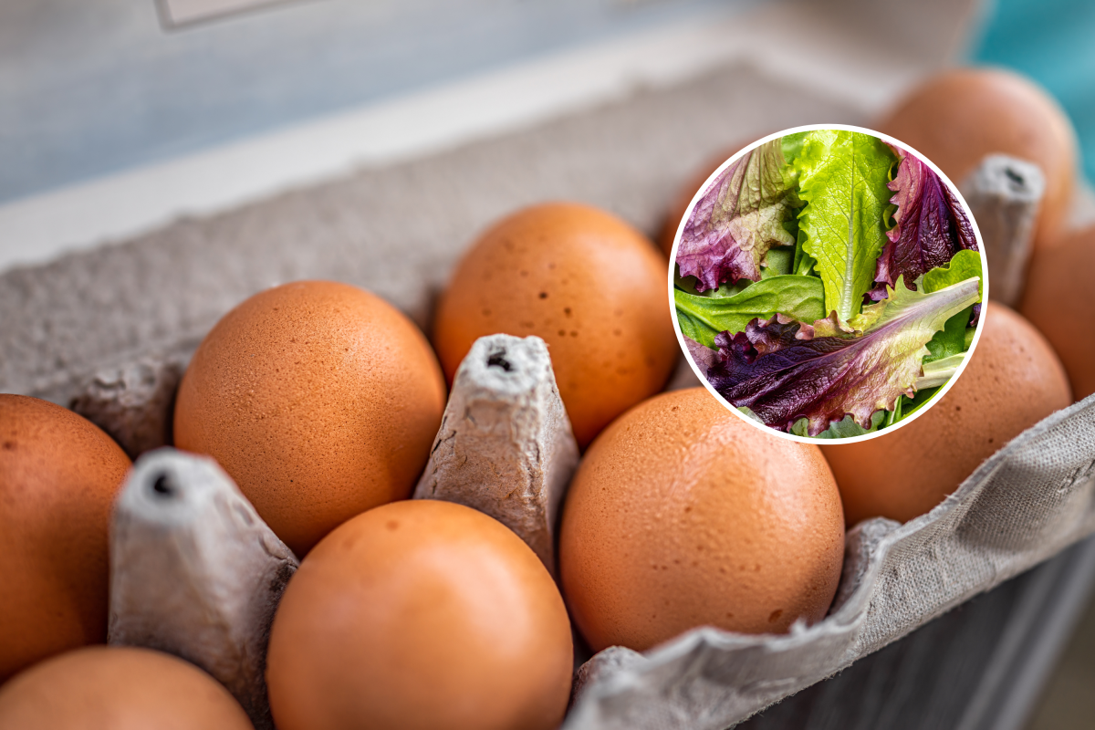 Cyclospora, Salmonella: How to Tell Symptoms Apart