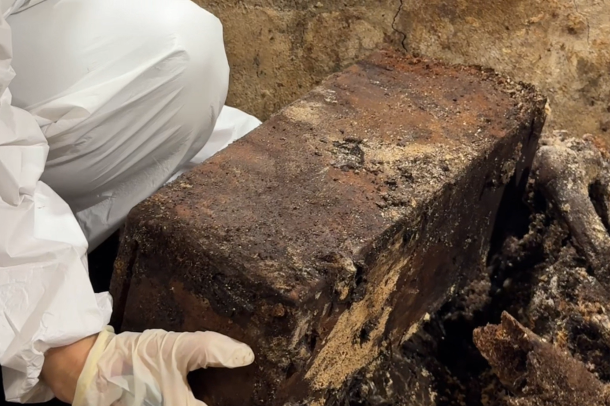‘Exceptionally Rare’ Remains of 200-Year-Old Newborn Discovered in Crypt