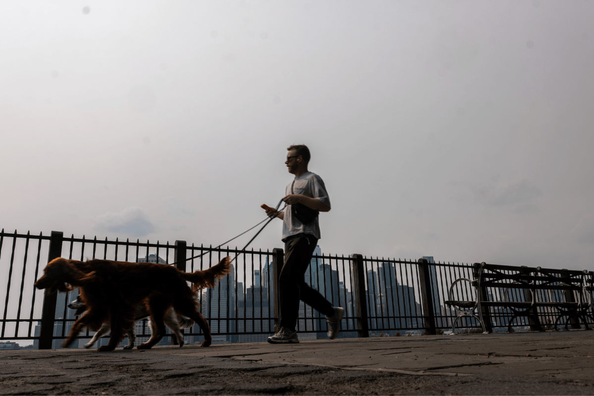 New Yorkers Told Stay Inside, Skip Dog Walks as Heat and Wildfires Combine