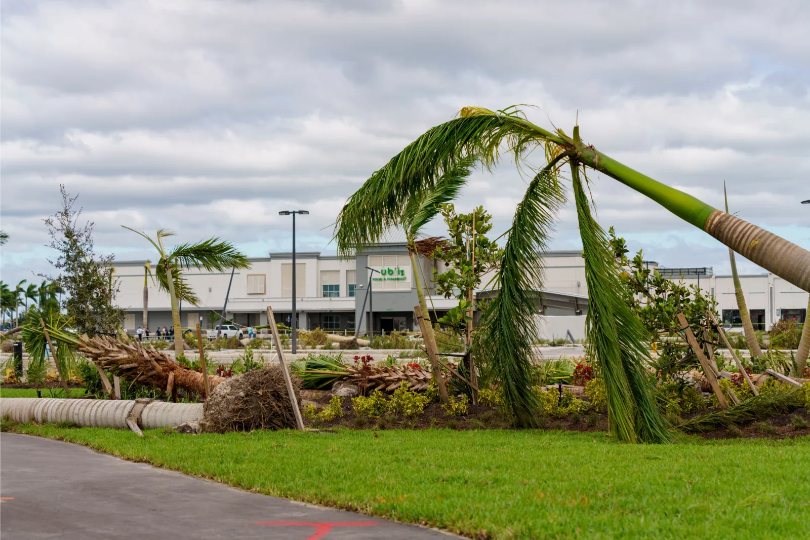 Publix Supermarket demolished by a tornado from Hurricane Milton in Palm Beach Gardens, Florida, on October 10, 2024 | Getty Images