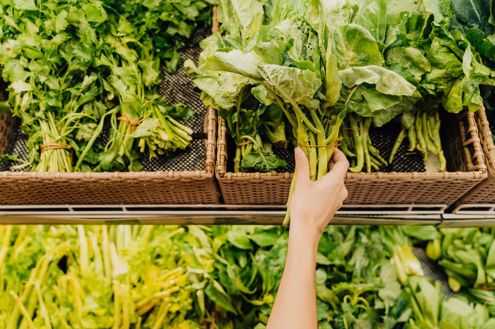 Read article: Cyclospora Outbreak Response Near ‘Catastrophic’ Level: Ex-FDA Official