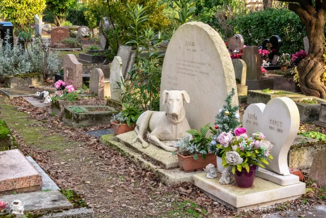 Graves in the oldest pet cemetery in the world, the ‘cemetery of dogs and other domestic animals' in Paris in Asnières-sur-Seine, France. GETTY / Delpixart